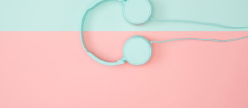A pair of headphones