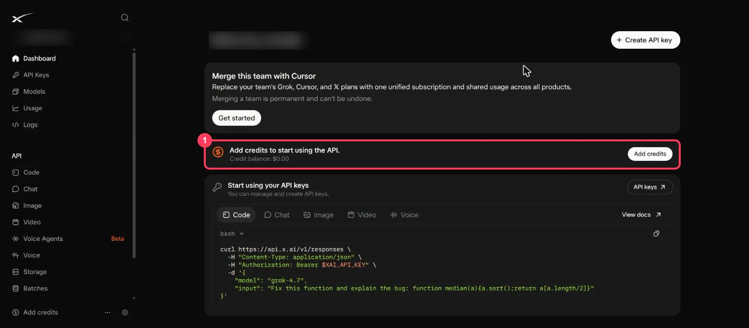 The xAI console dashboard asking to add credits, with a $0.00 credit balance highlighted