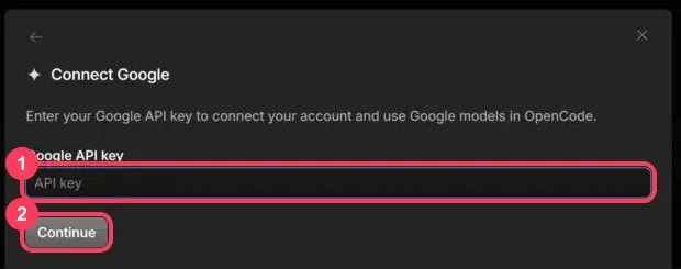 The Connect Google window with the API key box and the Continue button highlighted